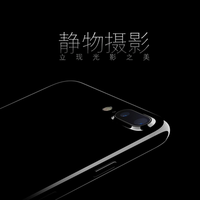 静物摄影